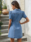 Vintage Denim Dress