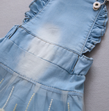 Toddler Girls Denim Overall