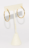 Gold Silver Hoop Earrings
